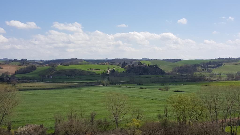 Agriturismo Castello Saltemnano Buonconvento Exterior foto